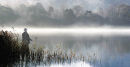 Tranquillity